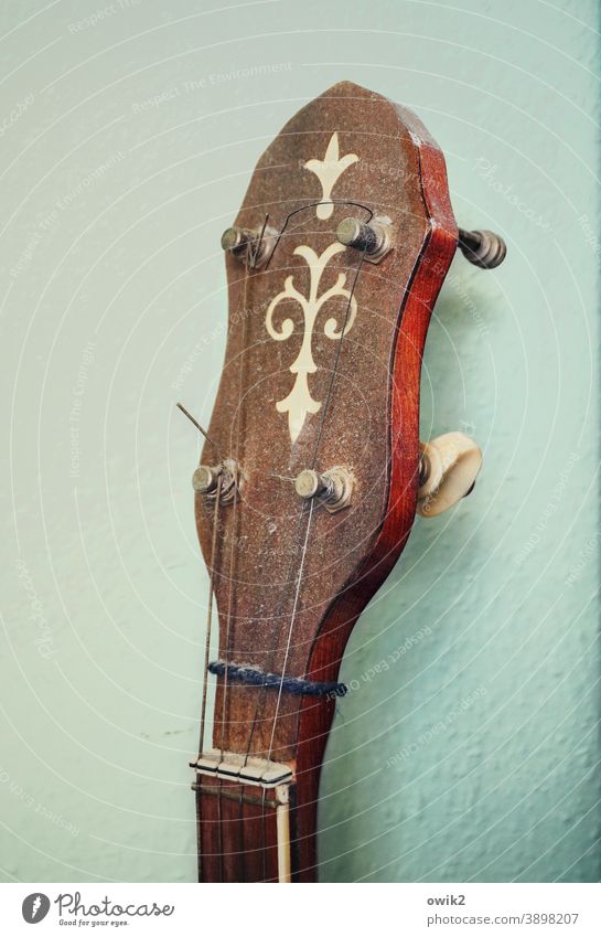 Dusty banjo Banjo Head Musical instrument Plucking instrument Culture Leisure and hobbies Art Sound stringed instrument Make music Detail vertebra Saddle