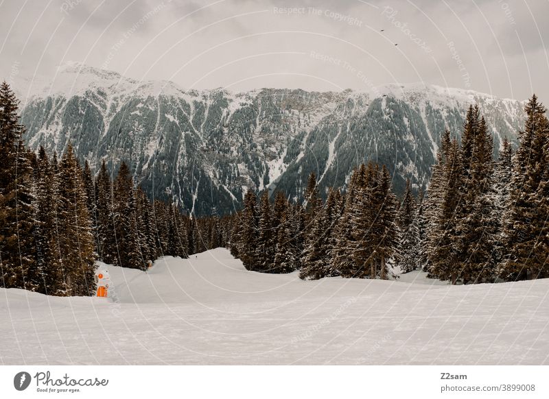 Südtiroler Skigebiet | Ratschings erholung südtirol italien bäume natur skifahren snowboarden wintersport landschaft winterlandschaft kälte schnee tourismus