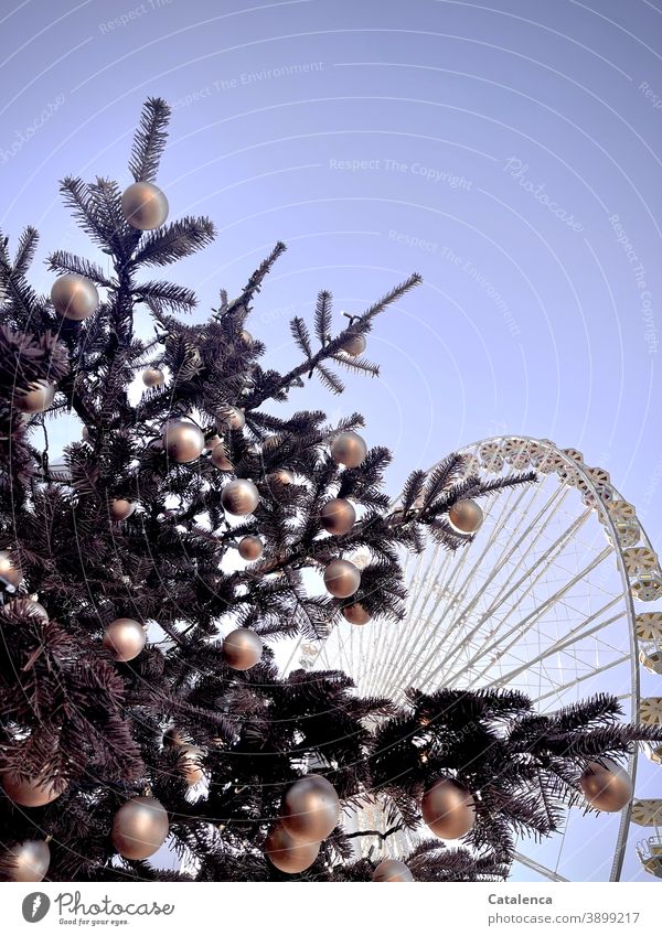 Stillness; Christmas tree in the foreground, behind it an orphaned Ferris wheel | corona thoughts christmas christmas tree christmas ornaments Fir tree