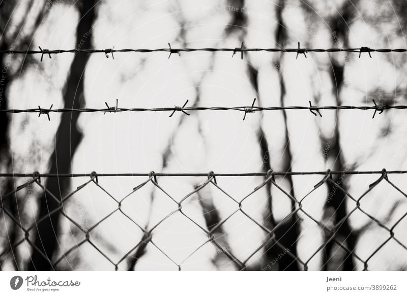 Neighborhoods | living behind barbed wire fences | being trapped or free Barbed wire Barbed wire fence prickles neighbourhood Fence Wire Wire netting fence