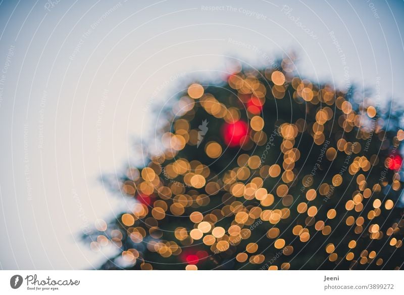 captured from below | big christmas tree on a market place | blurred glittering yellow and red | bokeh of thousands of lights Large Markets Marketplace