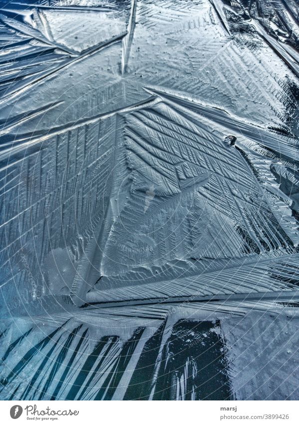 Crumpled ice rink Frozen surface naturally Cold Frost Ice Winter Nature Structures and shapes Exterior shot Bird's-eye view Contrast crumpled line Abstract