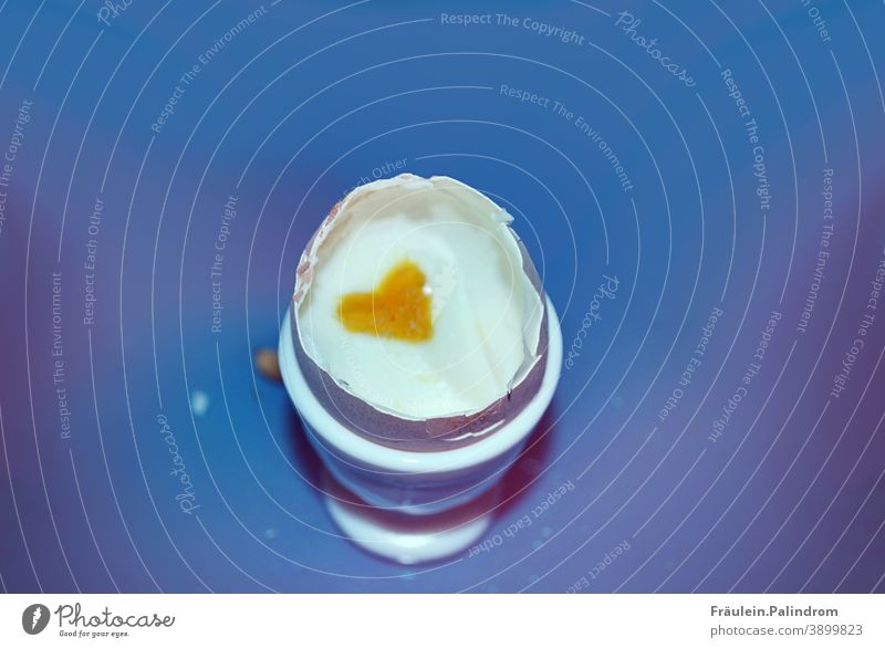 Breakfast egg with heart-shaped egg yolk and blue background Neutral Background Isolated Image Egg Morning breakfast egg Eating Love Heart chicken Beginning