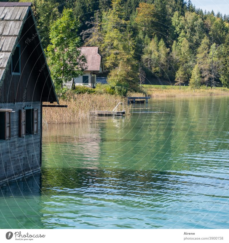 far away from the daily grind Lake Lakeside Calm Loneliness Water Boathouse Hut Wooden house Idyll Nature Relaxation Vacation & Travel Contemplative Summer