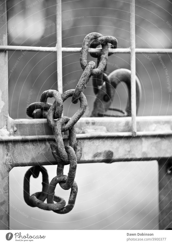Close up of Old Rusty Chain Links on a Metal Gate in Monochrome Chain link Detail Steel Safety Iron chain Strong Shallow depth of field Blur Bokeh