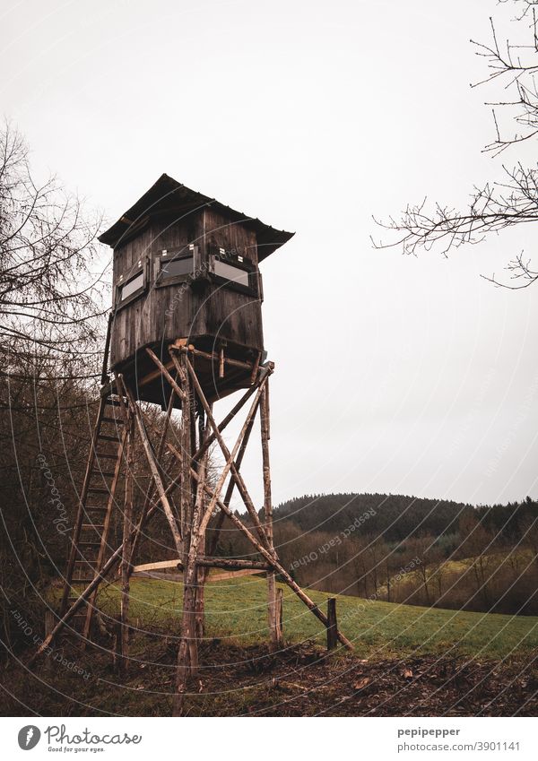 Hunter high seat Hunting Blind Nature Landscape Exterior shot Colour photo Sky Field Forest Tree Wood Green Clouds Vantage point Meadow Ladder Tower