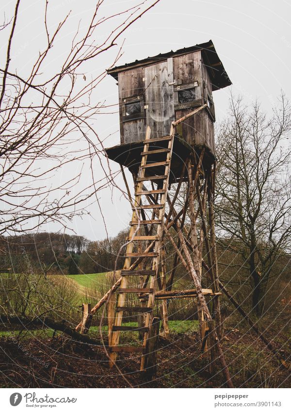 Hunter high seat Hunting Blind Nature Landscape Exterior shot Colour photo Sky Field Forest Tree Wood Green Clouds Vantage point Meadow Ladder Tower