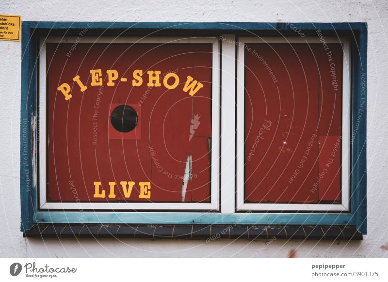 Piep-Show old bird shop Window Window pane Living or residing Pane Red Typography typography Letters (alphabet) Bird Characters Glass Slice Detail