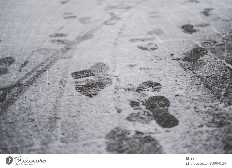 Footprints in the snow Snow Winter Tracks footprints Ground Cold White Virgin snow Going Asphalt Snow layer Snow track