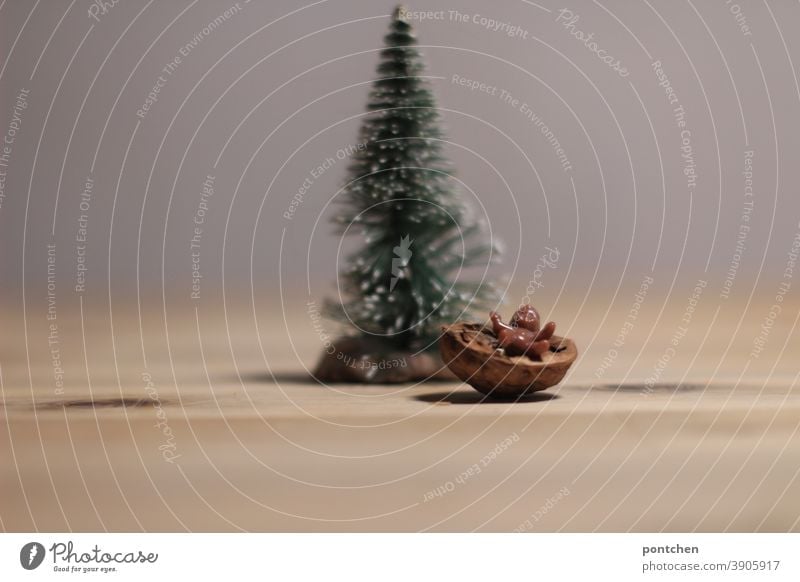 A Black Baby Jesus lies in a manger made of a walnut shell in front of a fir tree. Christmas Christmas decoration Christmas tree Festive Tradition Fir tree