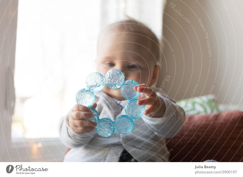 6 month hold baby holding teething ring with both hands in front of face chew chewing six months 6 months infant grasp explore sensory water cold plastic toy