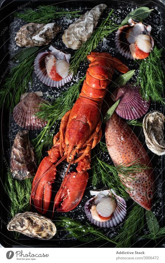 Delicious lobster with clams on baking pan dish seafood seashell asian food oriental shellfish green herb various tasty cuisine gourmet culinary assorted