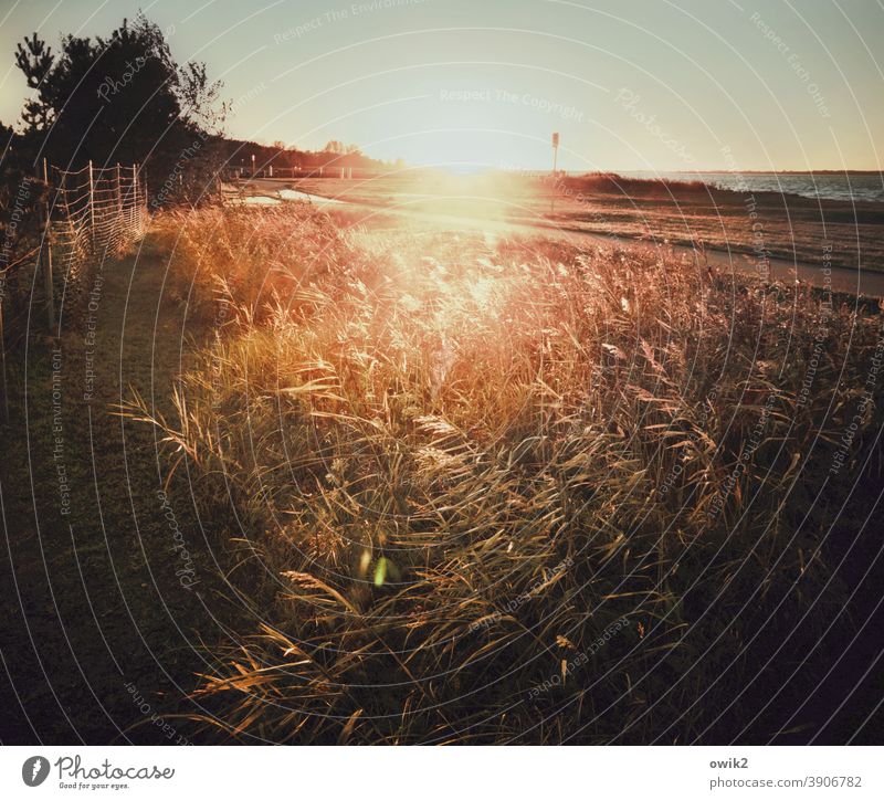 Silent coast Back-light Sunlight Sunset Baltic Sea Exterior shot Colour photo Beach Sky Nature Landscape Deserted Water Sunbeam Ocean Beautiful weather