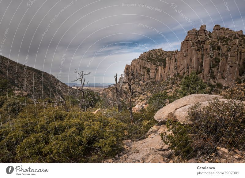 Strange rock formations depth Far-off places wide Horizon Rock stones Canyon Landscape Nature trails Hiking trails paths and paths Clouds Holiday & Travel USA