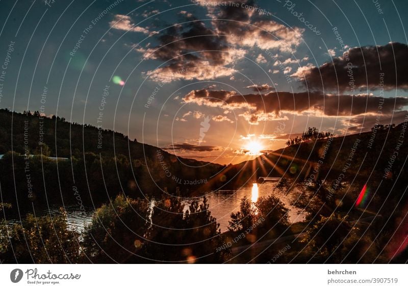 sunlight mosel evening solar star Moselle valley Mosel (wine-growing area) River bank Freedom Wanderlust Water Reflection Vineyard Mountain Back-light Summer