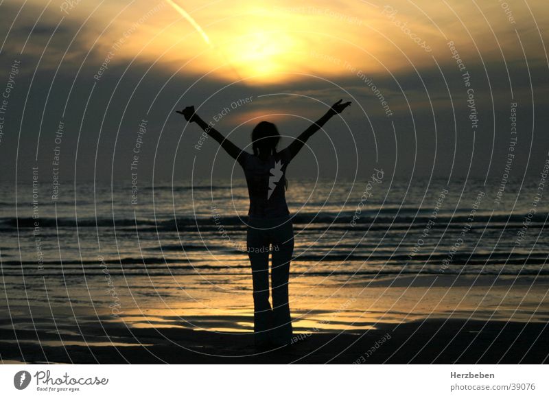 recharge one's batteries Woman Ocean Sunset Waves Beach Joie de vivre (Vitality) Gold Evening Arm