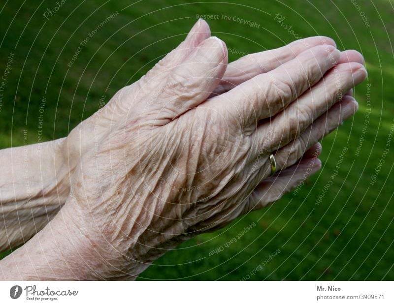 Contemporary History I experienced hands Old Senior citizen Fingers Female senior Grandmother 60 years and older Life crease praying hands Personal hygiene