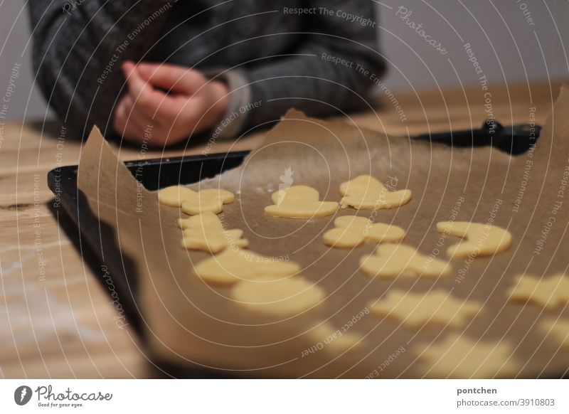 A toddler sits in front of a baking tray with cut-out cookies. Pre-Christmas time, baking, tradition Cookie Baking outdo sb. Toddler Hand Baking tray Tradition