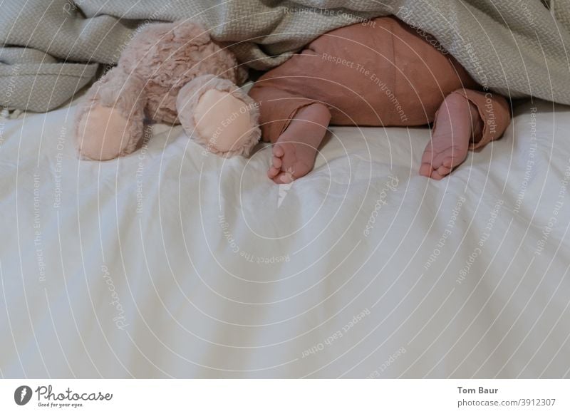 We play hide and seek - baby is next to a teddy bear with his head under the covers, only his bottom and bare feet are visible. Baby Teddy bear Duvet baby feet