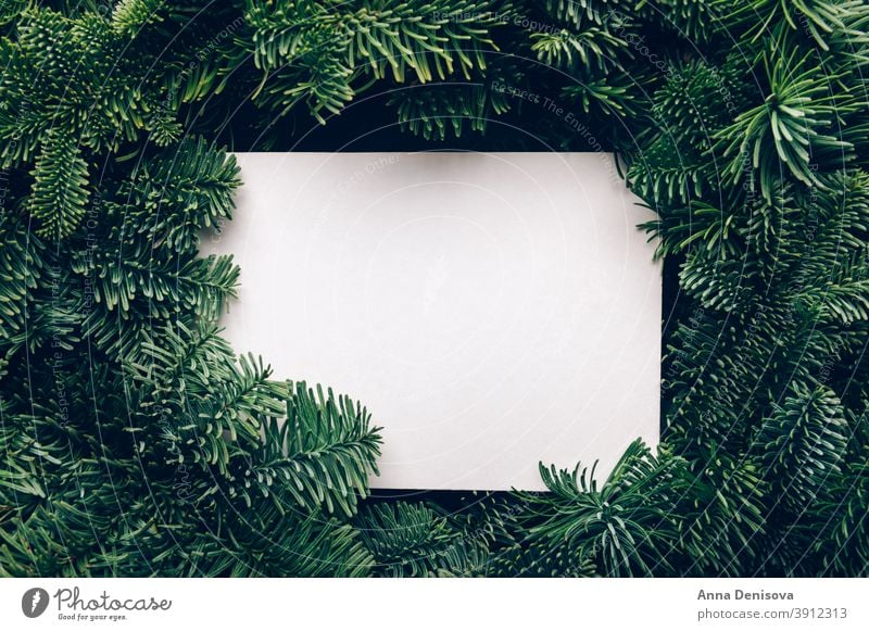 Christmas tree branches decorated with baubles on white background