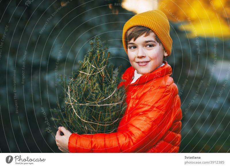 A boy in a bright orange jacket and yellow hat holds a purchased Christmas tree in his hands, smiles and looks into the distance. Shopping for the holiday. Preparing for Christmas, New Year