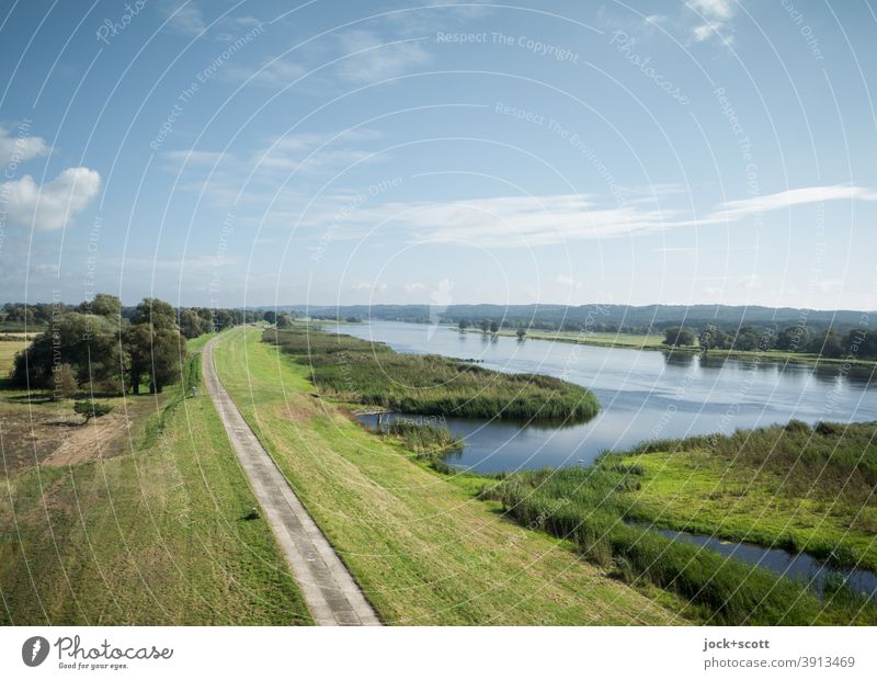 View of the river (Oder) Clouds Landscape Summer Beautiful weather Meadow River Dam Far-off places Authentic Horizon River bank Manmade landscape Border area