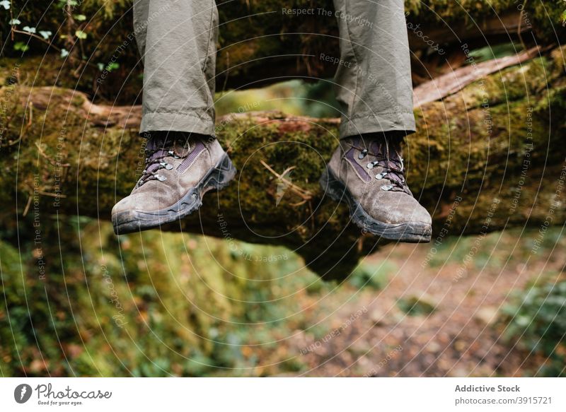 Crop traveler in woods during vacation boot trekking forest moss explorer adventure wanderlust footwear summer ground tourism nature hiker environment harmony