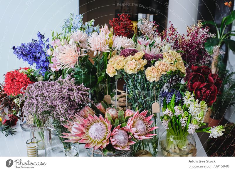 Various plants and flowers in bright floral shop assorted various salon store sell colorful bloom bouquet floristry spacious fresh bunch composition arrangement