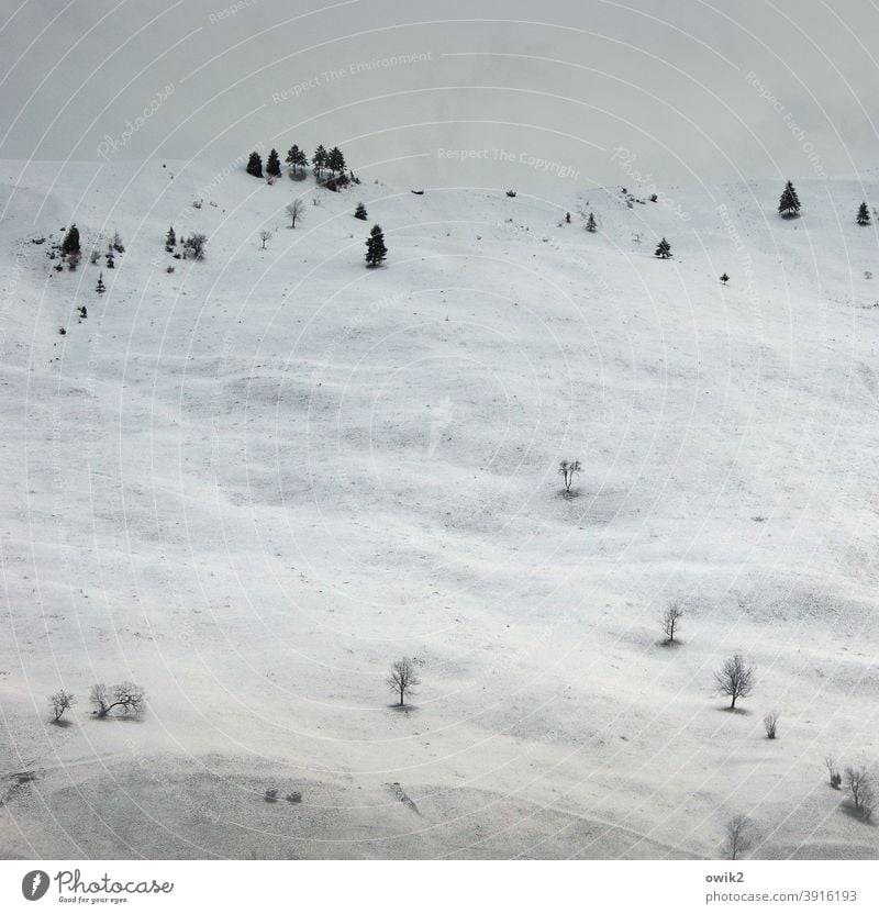 sparse forest Carpathians Eastern Europe Romania Mountain Snow Sky Landscape Nature Environment Far-off places Clouds Winter Frost Ice Tree Winter mood