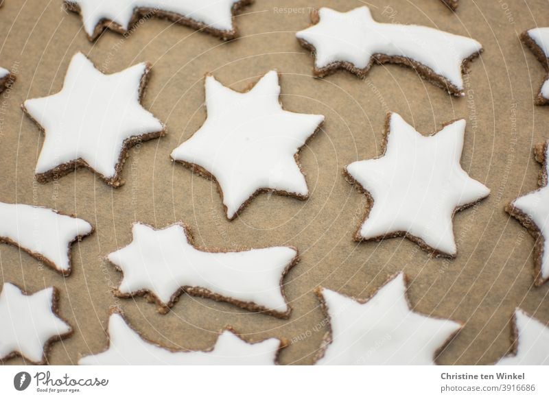 white cinnamon stars lie on baking paper on a baking tray Cinnamon Stars homemade Christmas cookies Cookie bake cookies Christmas baking cut out cookies White