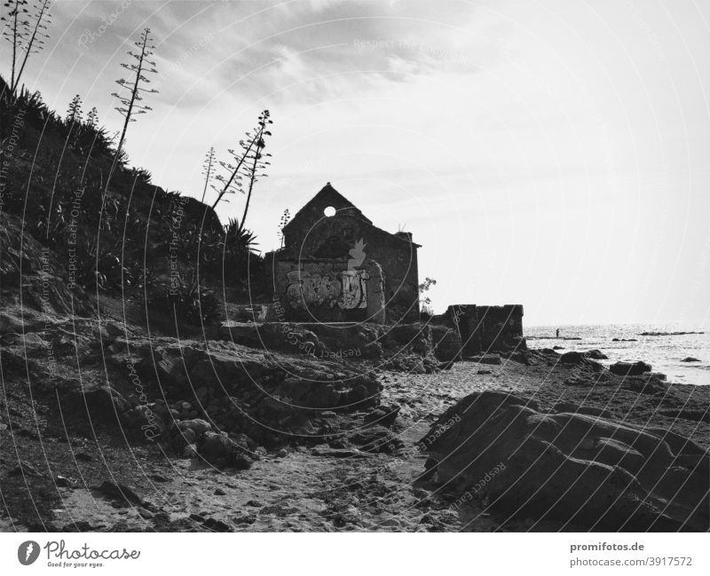 Andalusia: Ruined house on the coast. Photo: Alexander Hauk Spain Andalucia vacation free time travel Tourism Black & white photo Landscape format slope trees