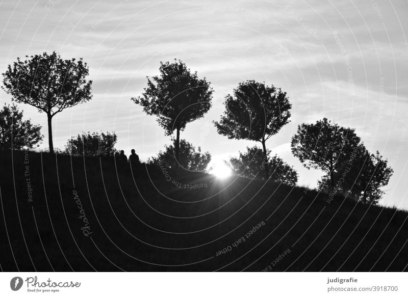 Sun, trees and a couple on a hill Hill Treetop Sunlight Back-light Couple Sky Black & white photo Silhouette Nature Landscape
