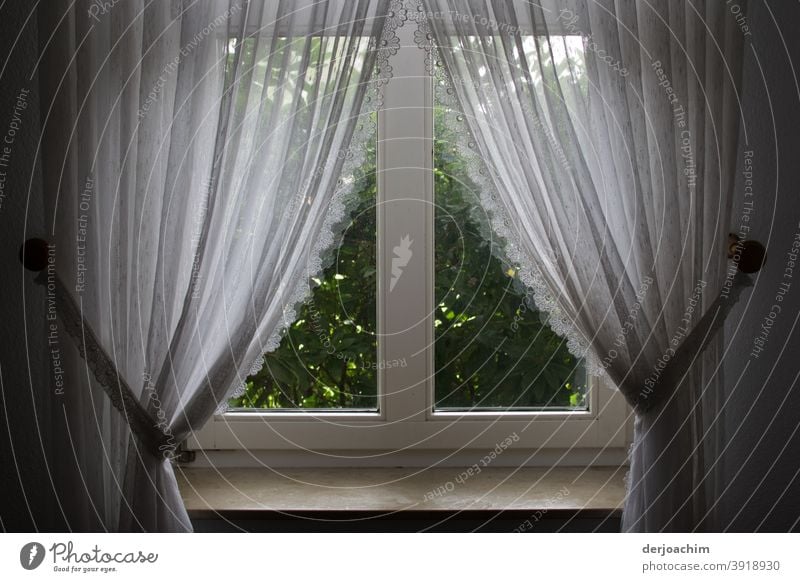 White pretty curtains with loop tape . Decoration and window decoration. In front of the window is a green hedge . Curtain Cloth Light Colour photo Shadow
