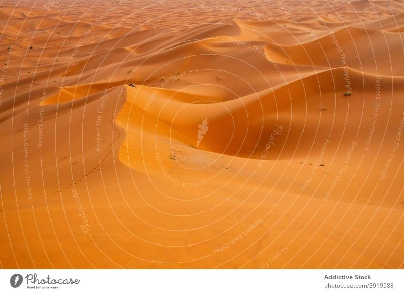 Sand dune in desert sand morocco sunny daytime landscape nature dry wave hot warm heat arid nobody calm tranquil serene peaceful terrain hill harmony idyllic
