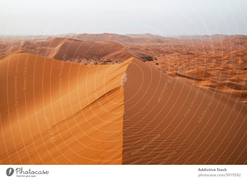 Sand dune in desert sand morocco sunny daytime landscape nature dry wave hot warm heat arid nobody calm tranquil serene peaceful terrain hill harmony idyllic