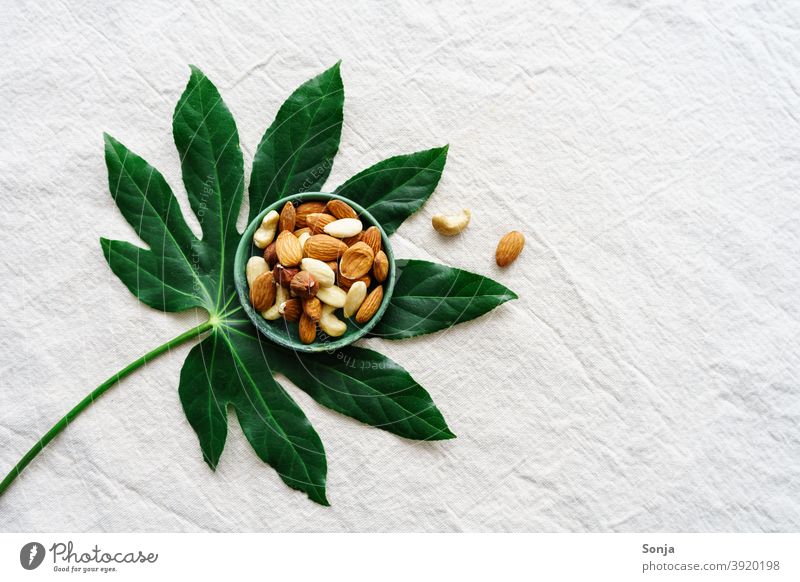 Variation of nuts in a bowl on a green leaf. Linen cloth. variation Leaf Green Beige Protein Diet Vegetarian diet Food photograph Vegan diet Healthy