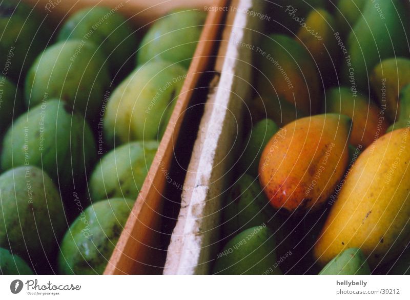 mangos Mango Healthy Fruit Tropical fruits