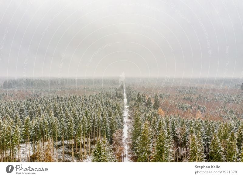 Snowy and frozen winter from above leading through a white forest. road woods snowy aerial tree nature weather season scenic scenery ice frost day rural