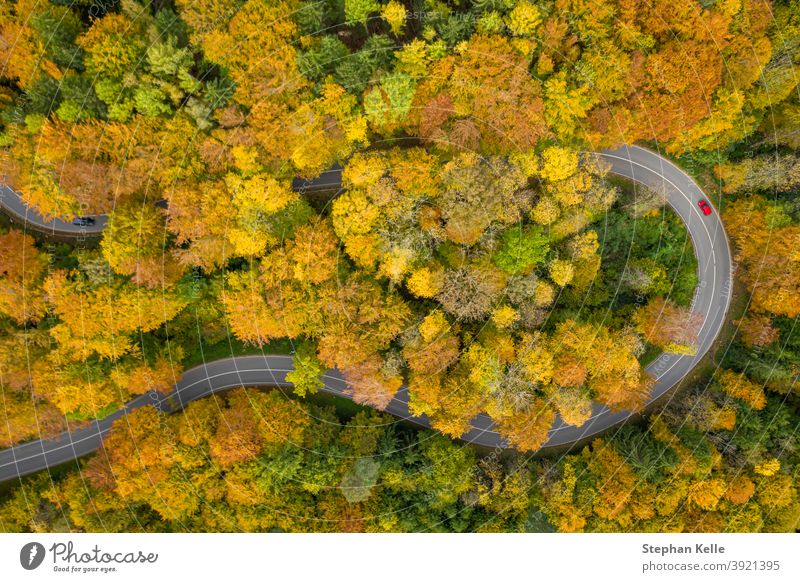 Fantastic autumn - colorful treetops with a significant red car driving through a double curve of a serpentine street at the fall. impressive on the road aerial