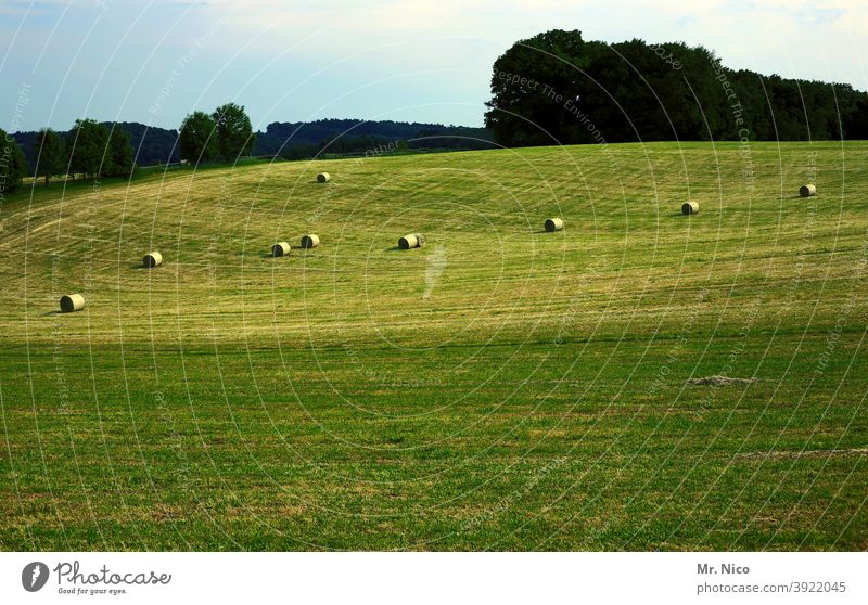 Haymaking Landscape Nature Meadow Field Green Grass Hay bale Harvest Agriculture Hill hilly Rural Environment country Sky Forest agriculturally make hay Eifel