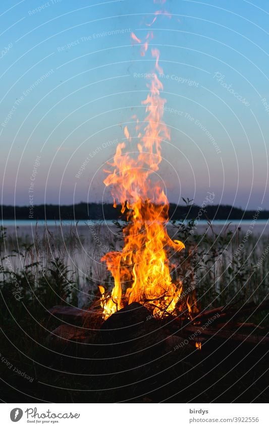 Campfire on the shore of a lake at dusk. outdoor camping Fire campfire Nature Lake Dusk blaze evening sky Flame Fireplace Warmth Burn Lakeside Wilderness
