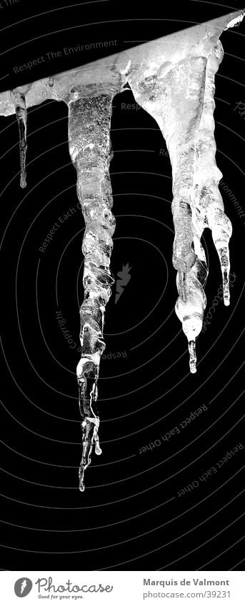 icicles Frozen Back-light Icicle Winter Cold Light Glittering Suspended Eaves Roof Express train Close-up Ice Black & white photo Drops of water Contrast