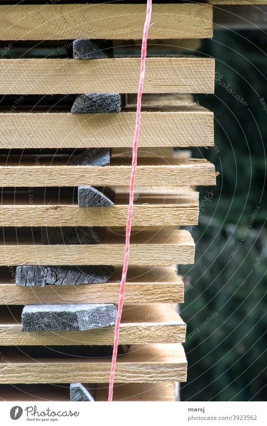 Wooden boards in various thicknesses. Stacked to dry and secured with a red cord. lumber Distance woods To distance String Fresh Spacing naturally Pattern
