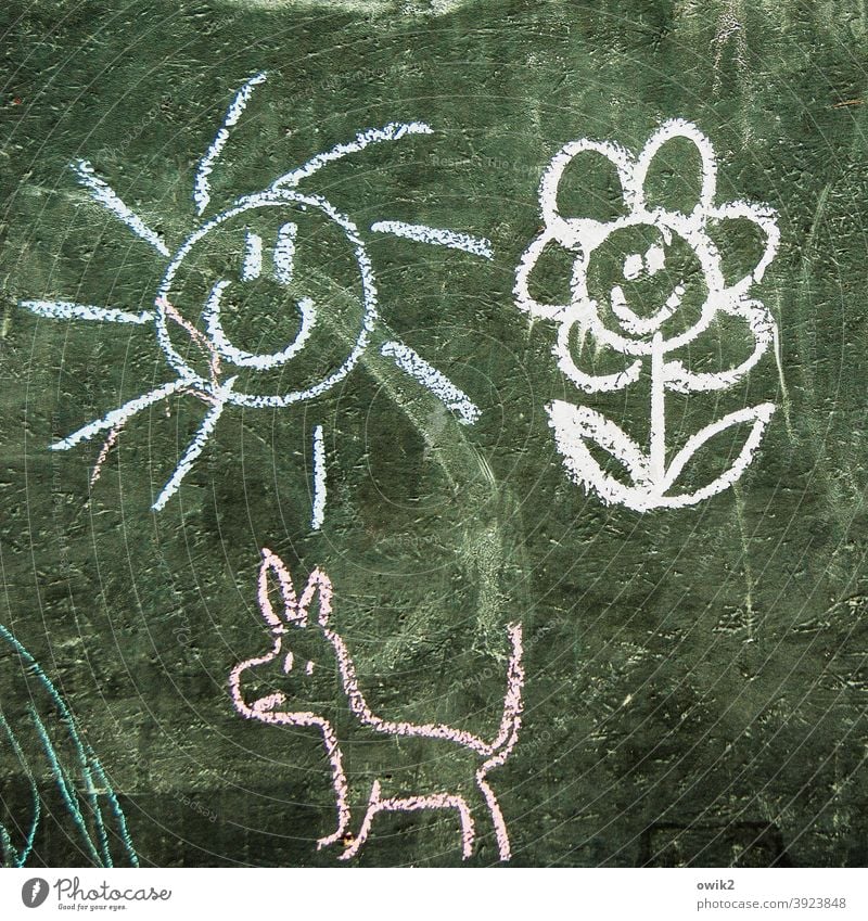 Animal shelter line drawing Chalk drawing Art Exterior shot Childlike Colour photo Joy Creativity Multicoloured Work of art Simple Children's drawing