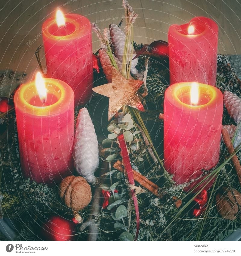 4 kerzen brennen Advent Kerzen rot Licht Weihnachten Hoffnung Adventskranz