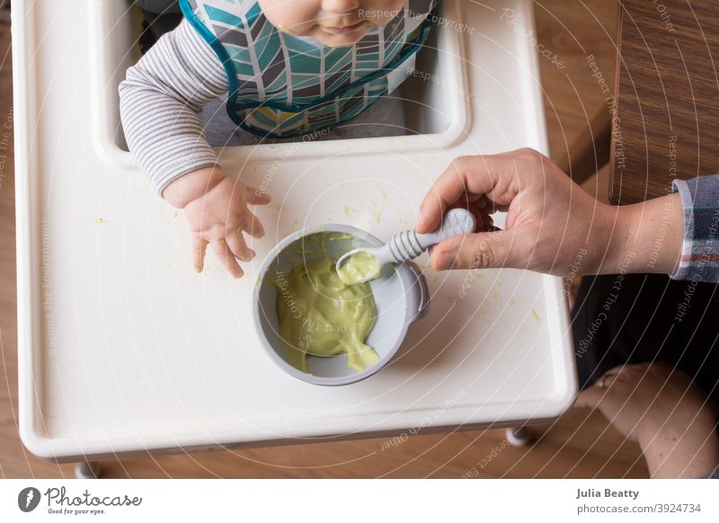 6 month old baby sitting in high chair with bowl of pureed avocado; father's hand holding loaded spoon infant child 6 months old homemade weaning