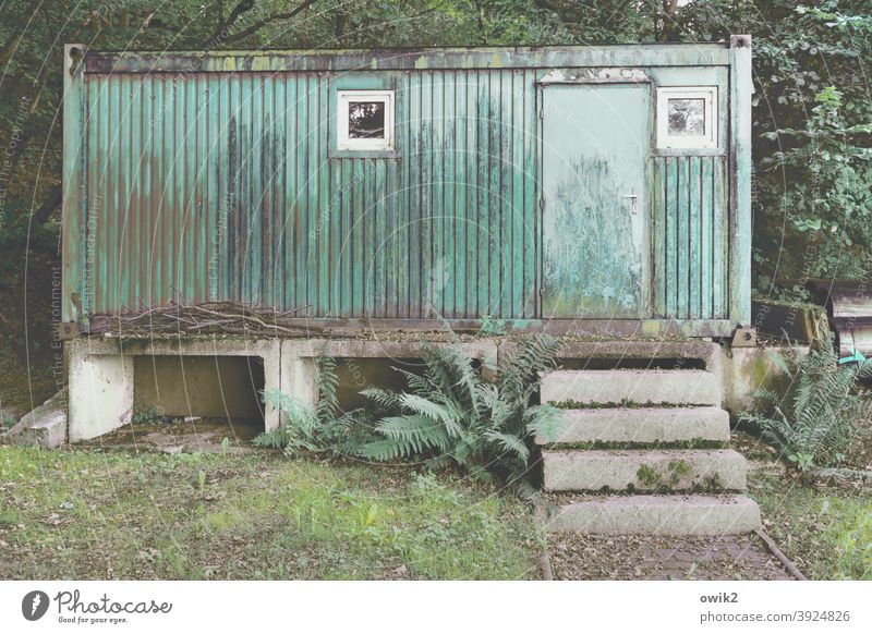 Tin box Container Metal Sharp-edged compact Green Massive Tree Closed Heavy door Barricaded Simple Deserted Exterior shot Colour photo Detail