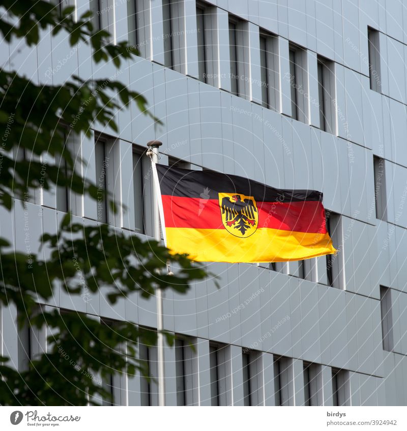 German flag with federal eagle in front of a state building waving in the wind Germany brd Federal eagle Flag Wind Patriotism Ensign Politics and state