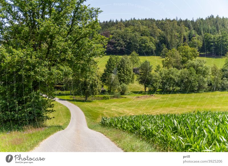 Bavarian Forest scenery bayerischer wald bayern idyllisch natur wiese weide sommer friedlich gras baum landschaft erholung umweltschutz deutschland niederbayern
