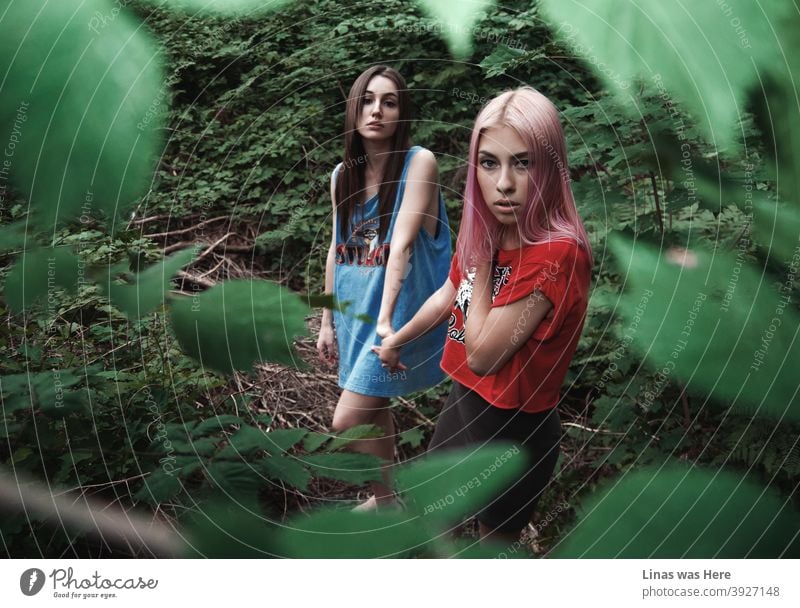 These woods are roamed with wild and gorgeous girls. Dark or pink hair, these girls don’t care. Teenage spirit and wilderness are in their blood. wild girls